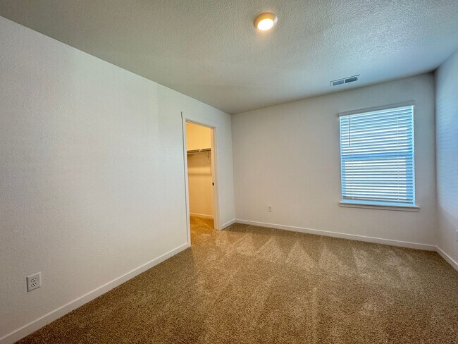 Building Photo - Brand New, Beautiful House-Fort Collins/Wi...