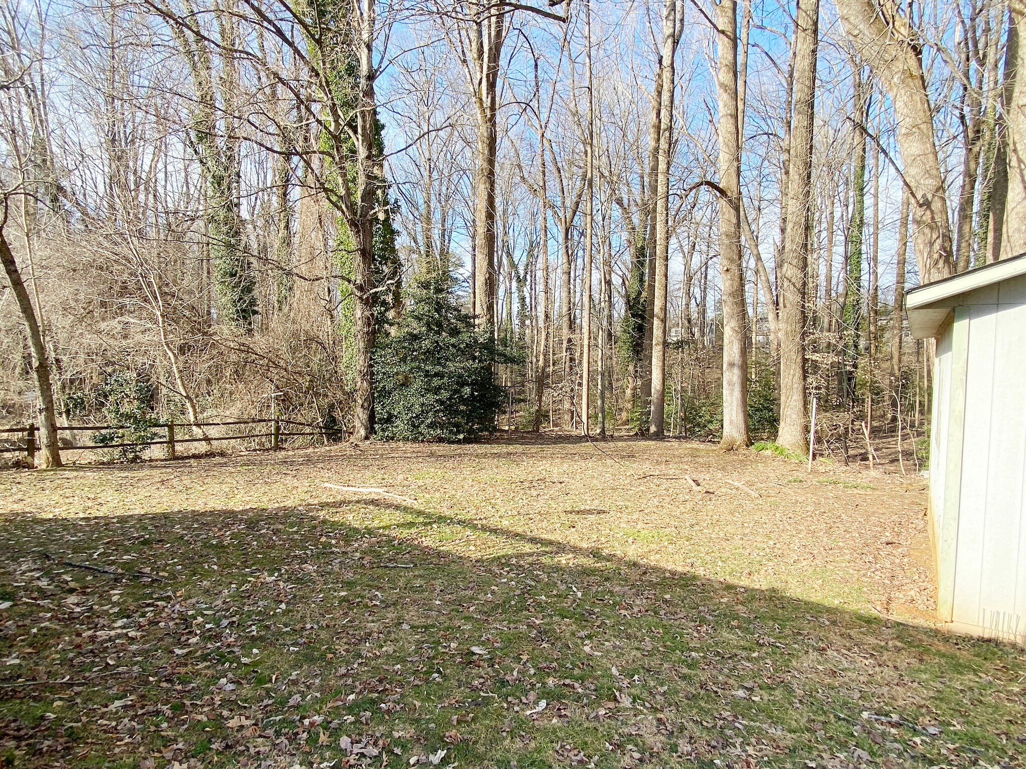 backyard - 113 Azalea Dr