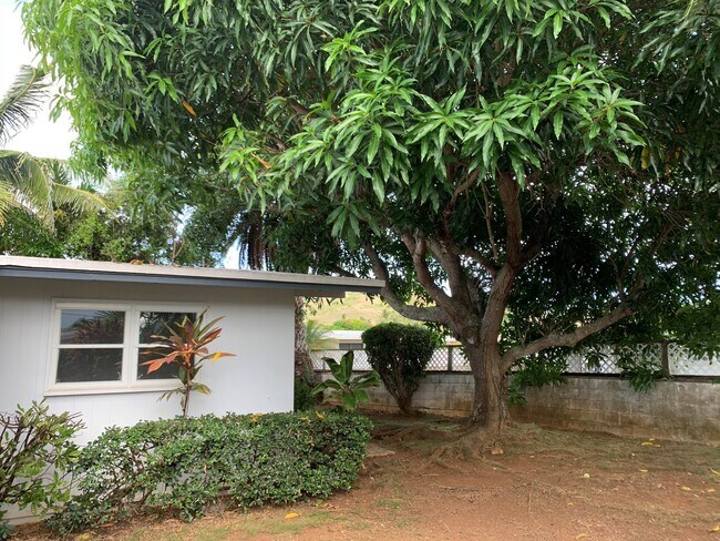 Building Photo - Kailua- Updated 3 bedroom 2 bath beautiful...