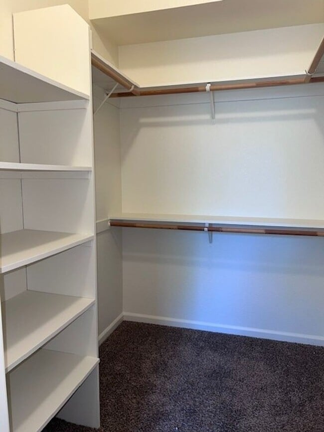 Building Photo - Single Story 3 Bedroom 2 Bathroom Home in ...