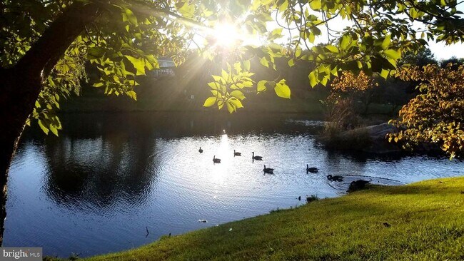 Building Photo - 10628 Sawdust Cir