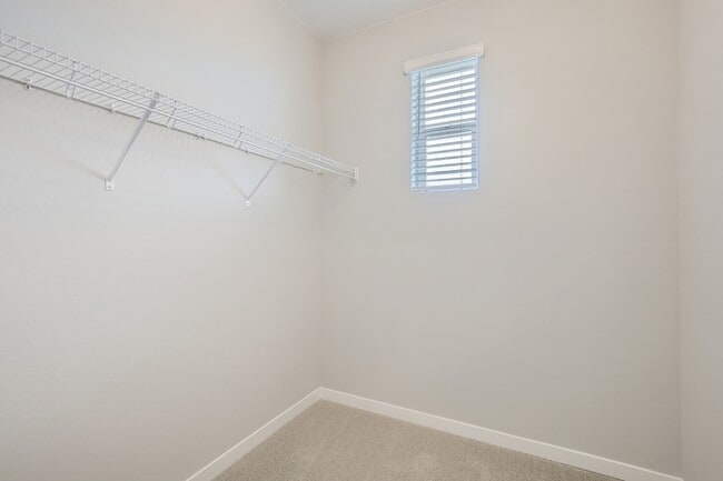 Building Photo - 743 Pokeweed Ln