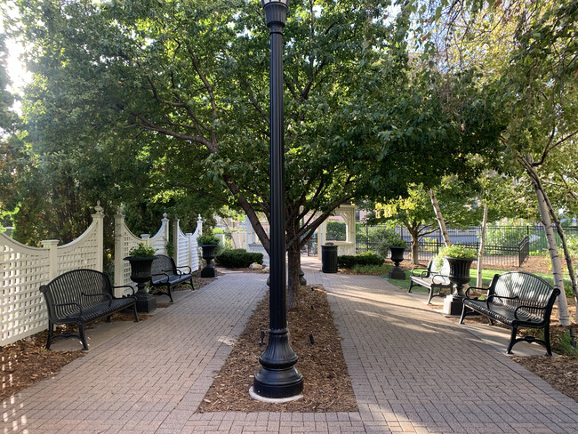 Beautiful mature trees and benches - 500 E Grant St
