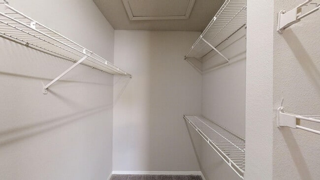 Walk In Closet - Safire at Matthews