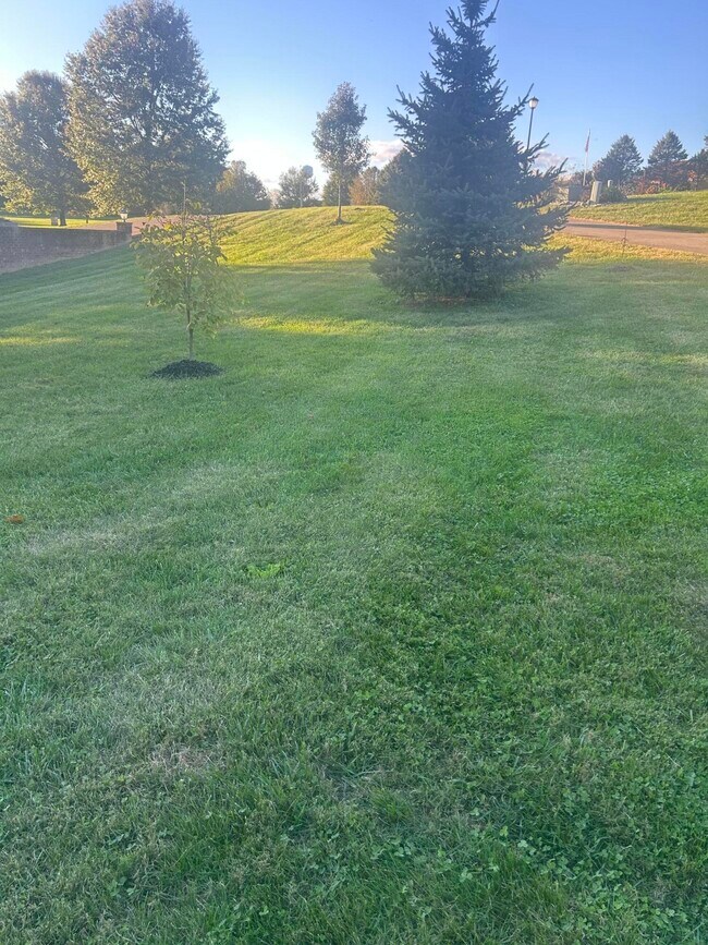 Building Photo - 409 Lawson Dr