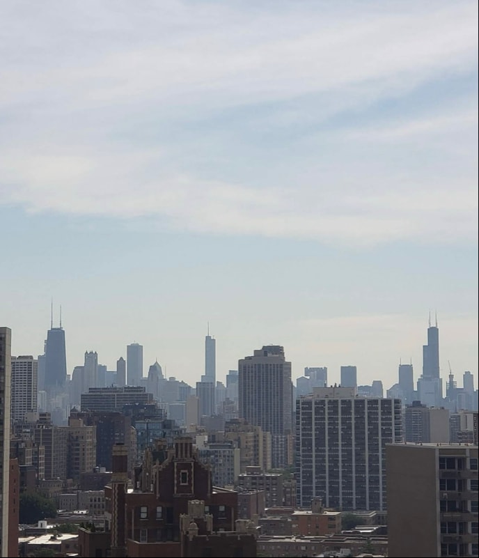 Building Photo - 3550 N Lake Shore Dr