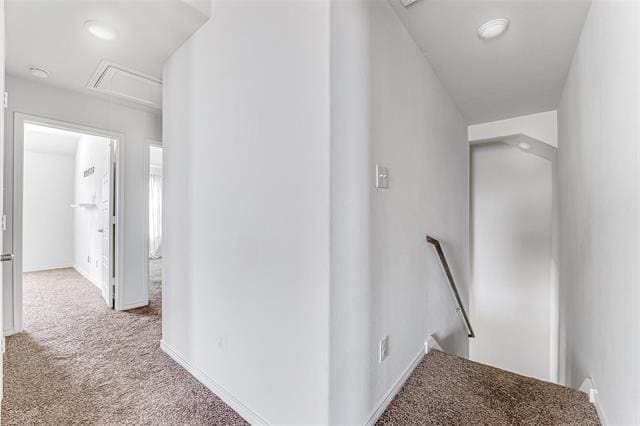 Building Photo - 3113 Brazos Dr