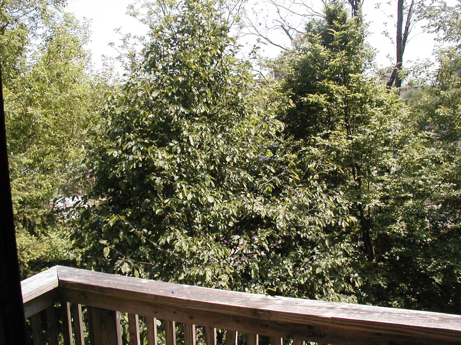 Building Photo - 293 Hiscock St