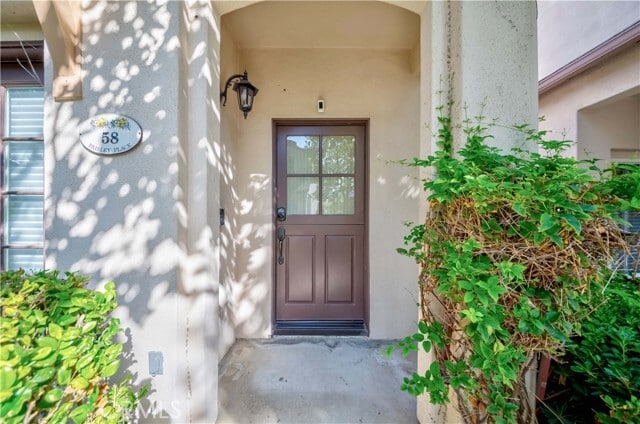 Building Photo - 58 Paisley Pl
