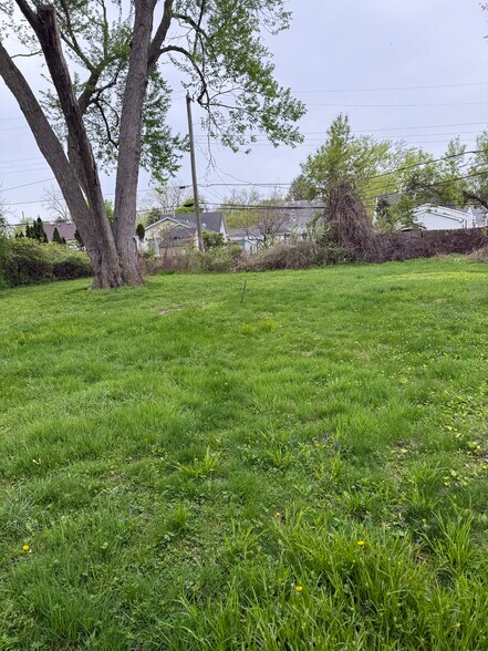 back yard - 14343 San Jose