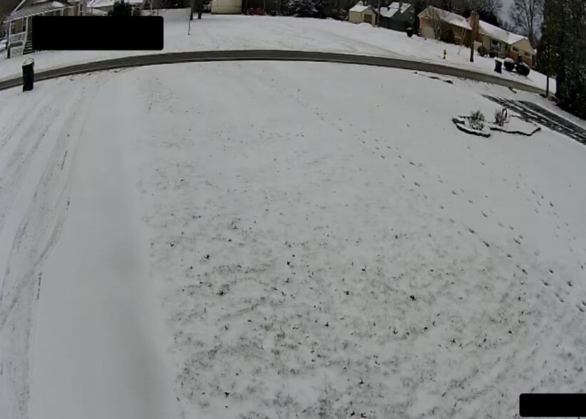 Right Front Yard - 1478 E 10th St