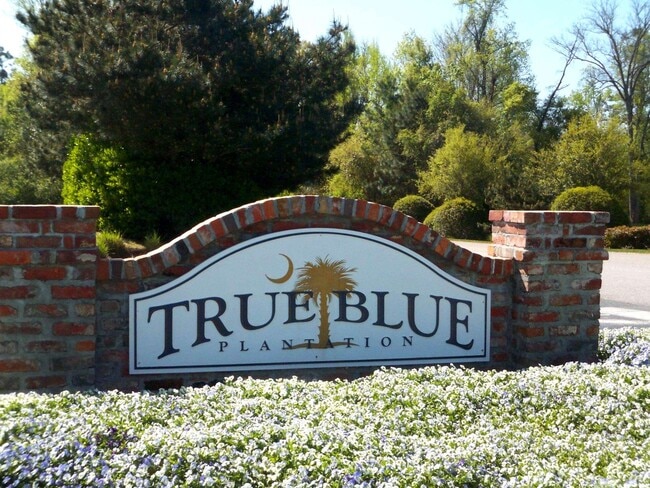 Building Photo - 1123 Blue Stem Dr