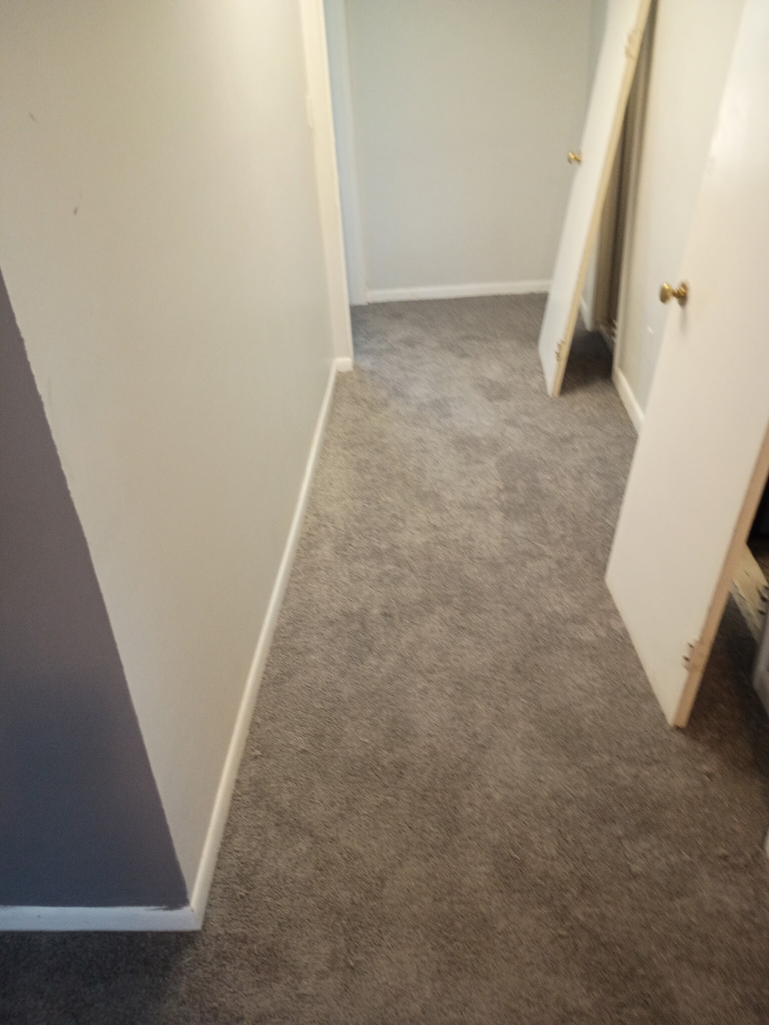 New carpet installed 4/7/26 - 8330 Clough Pike