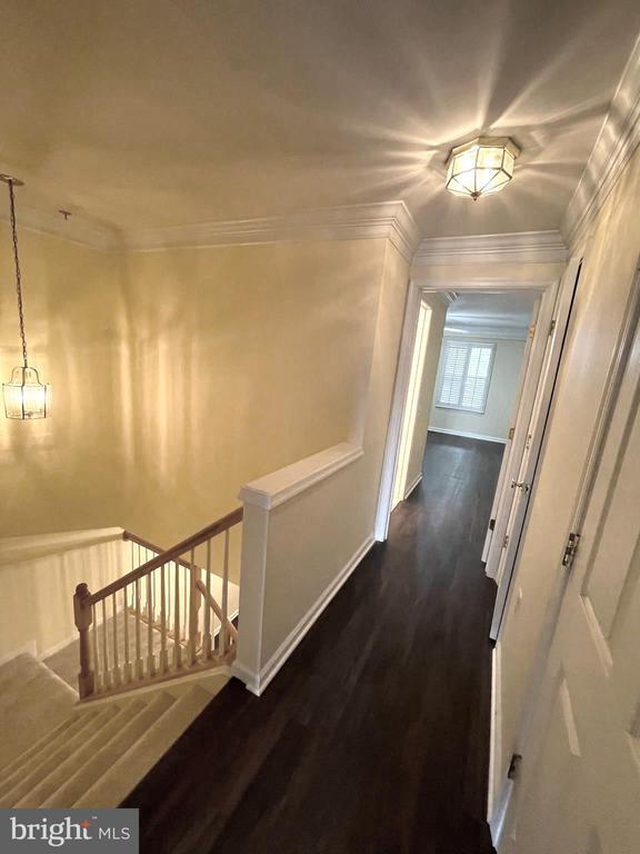 Building Photo - 1306 Roundhouse Ln