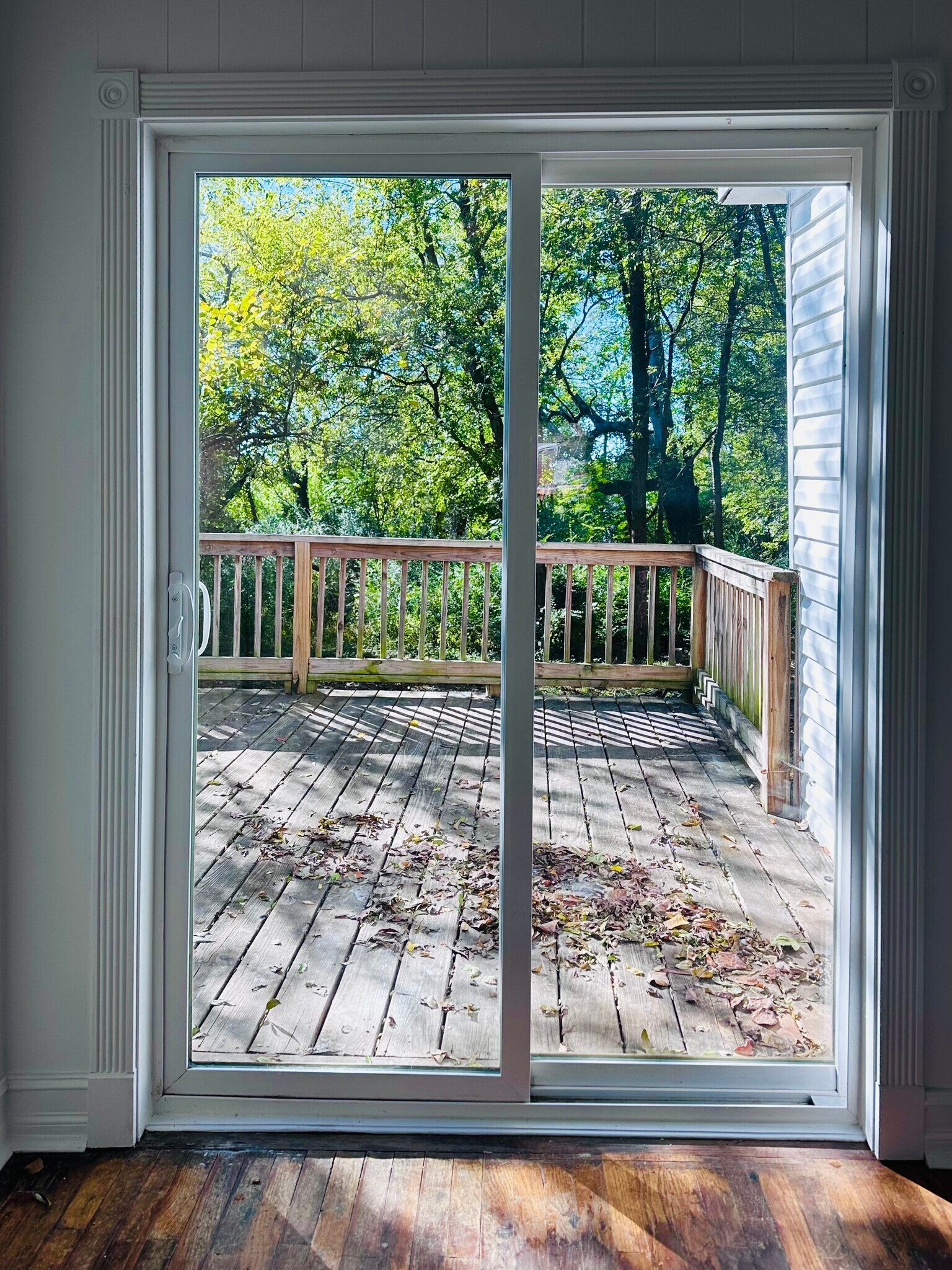 Deck off diningroom - 903 Ward St