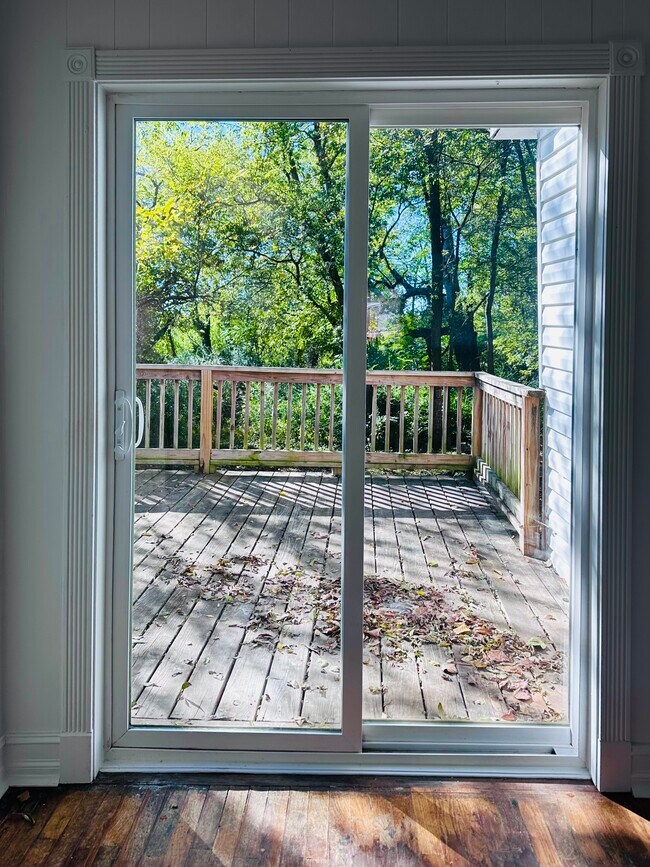 Deck off diningroom - 903 Ward St