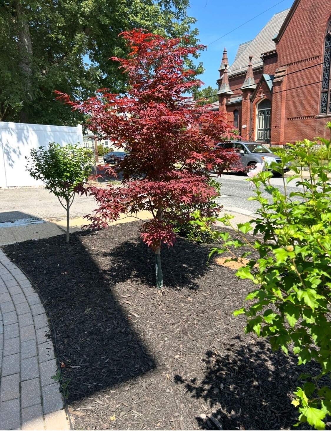 Building Photo - 14 Park St