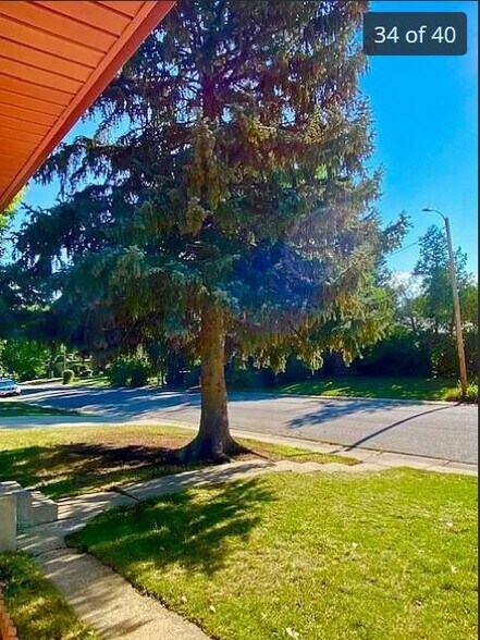 Front Yard - 6898 Newman Street