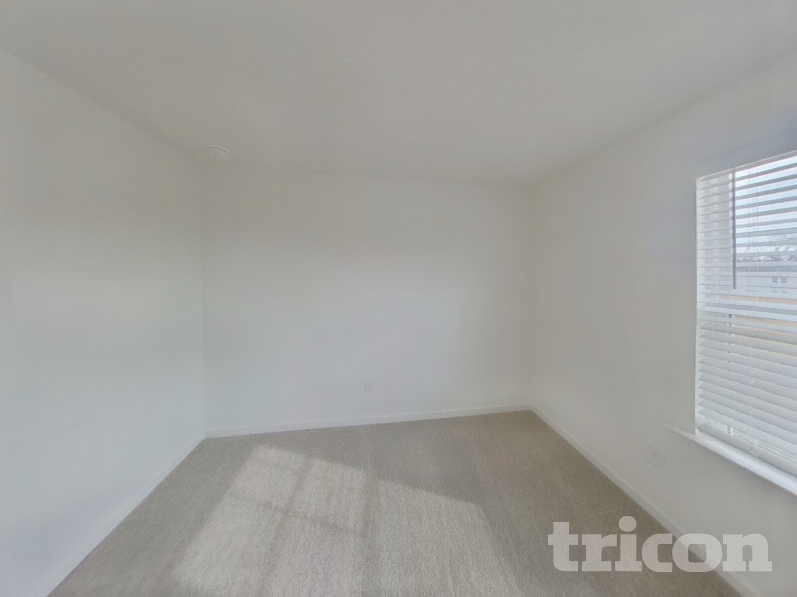 Building Photo - 217 Paisley Wy