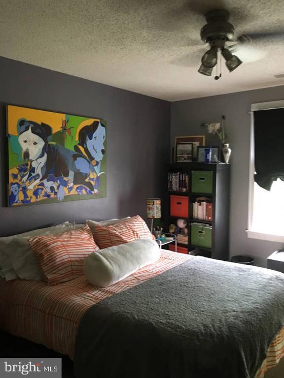 Building Photo - 2803 Arlington Blvd