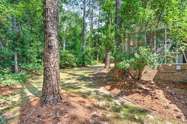 Building Photo - Beautiful home in Spring Valley