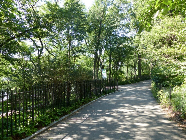 Building Photo - Stunning, Super Sunny Pre-War CORNER 1 BD,...