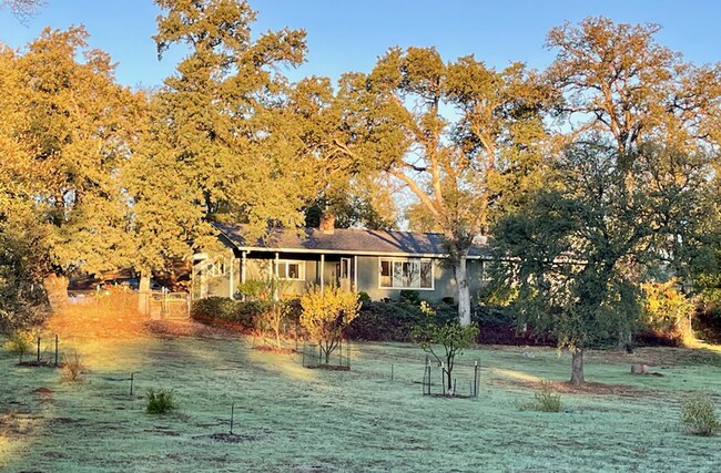 Building Photo - COUNTRY SETTING 3 BEDROOM WITH POOL AND SOLAR