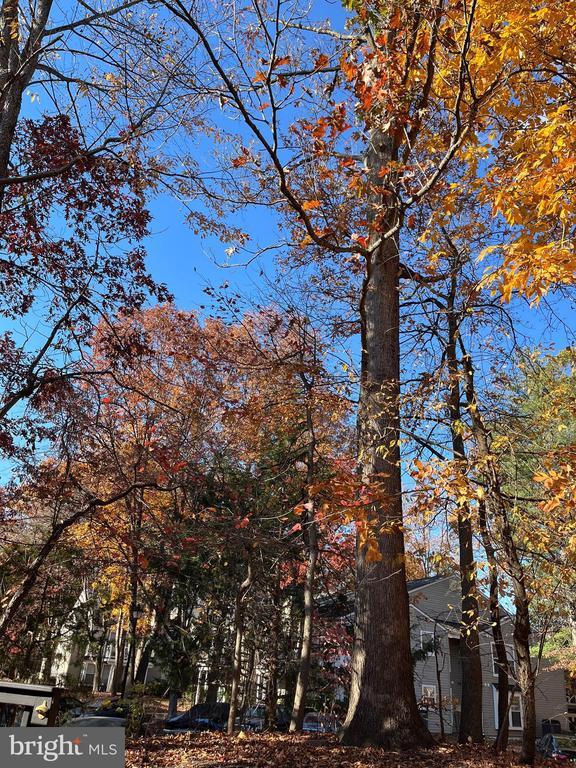 Building Photo - 6016 Wild Ginger Ct