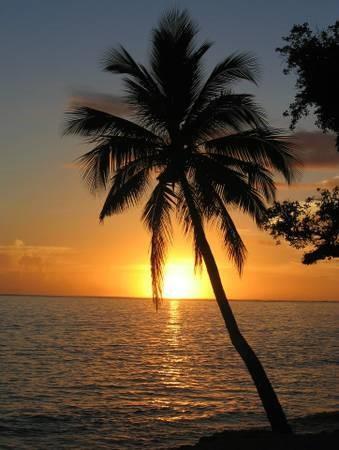 Building Photo - 31547 Ave D