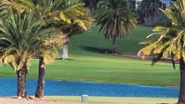 Building Photo - 1175-D