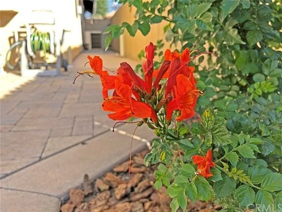 Building Photo - 10581 Sunburst Dr