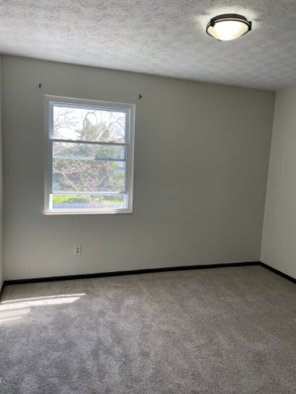 Building Photo - 3824 Longton Dr