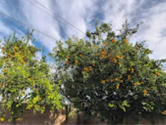 Building Photo - 7800 Fairchild Ave