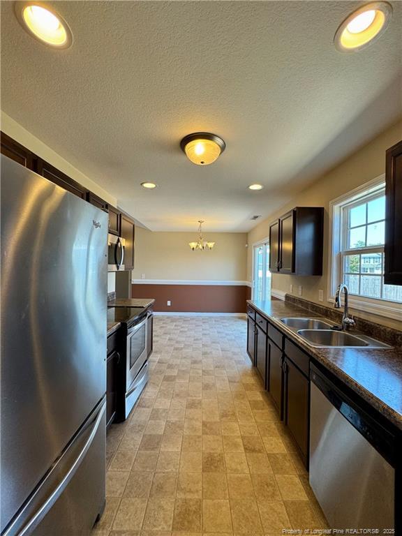 Building Photo - 858 Screech Owl Dr