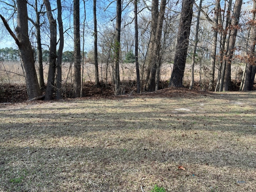 Backyard Common Area - 1216 Allen Rd