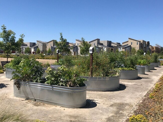 Building Photo - Beautiful 2 bedroom/2.5 bath unit at the Cannery available July 25th