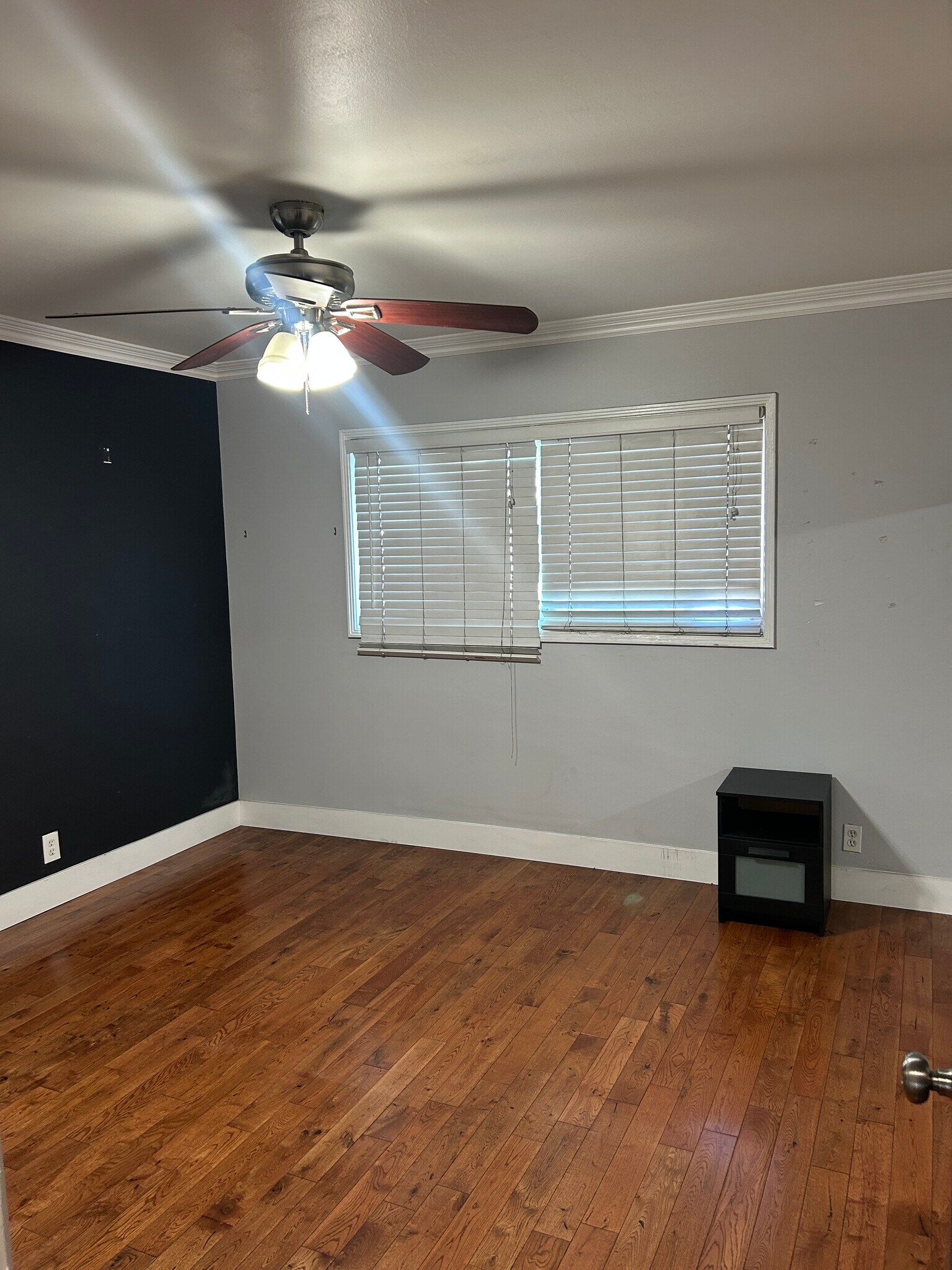 Building Photo - 14 N Alboni Pl