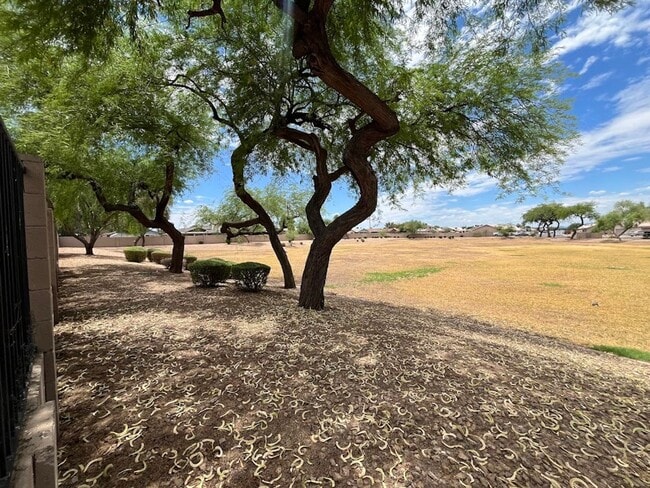 Building Photo - Charming 3-Bedroom Home in Horizons on Camelback with Park Views