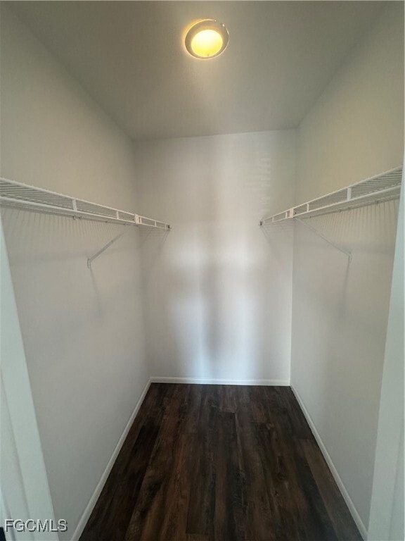 Building Photo - 13115 Feather Sound Dr