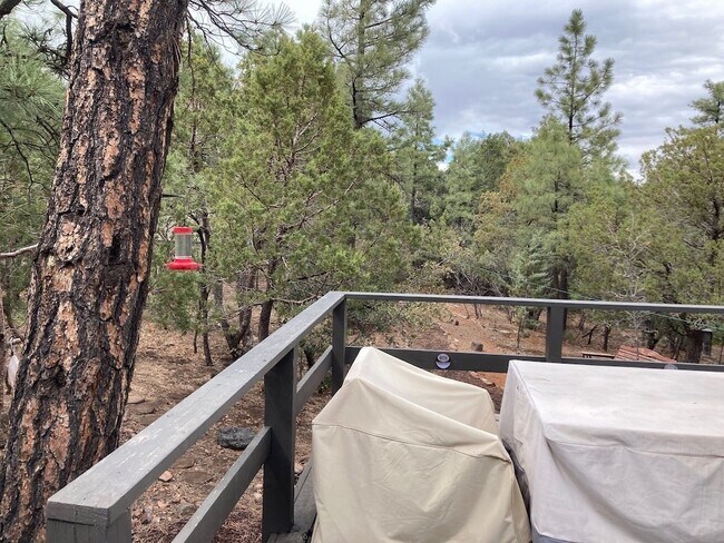 Building Photo - 3239 Pine Needle Dr