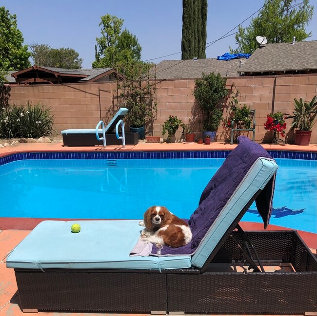 Enjoy the Pool - 23733 Tiara St
