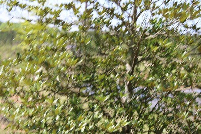 Building Photo - 818 W Grantville Rd