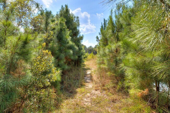 Building Photo - 575 Curlew Cir