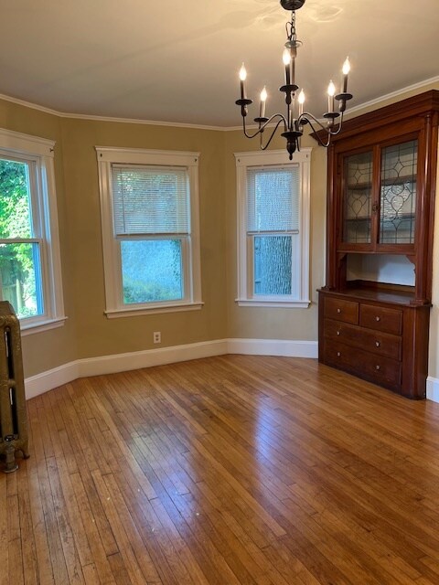 Beautiful built-in cabinet - 15 Clayton St