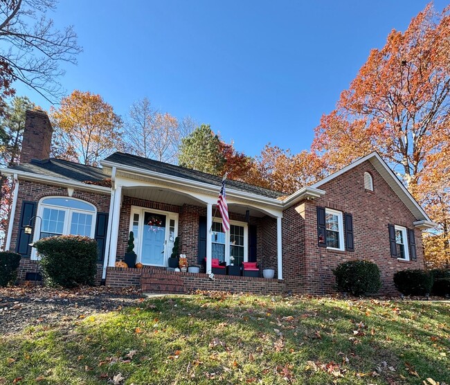 Primary Photo - AVAILABLE TO SHOW!