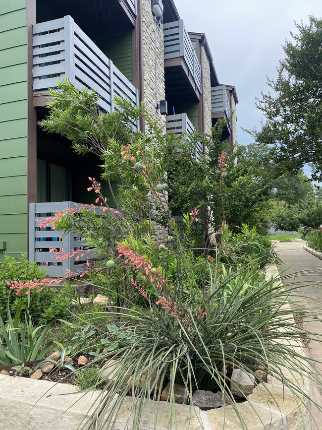 Lush garden courtyard with views of St. Edwards University - Willowwood Apartments