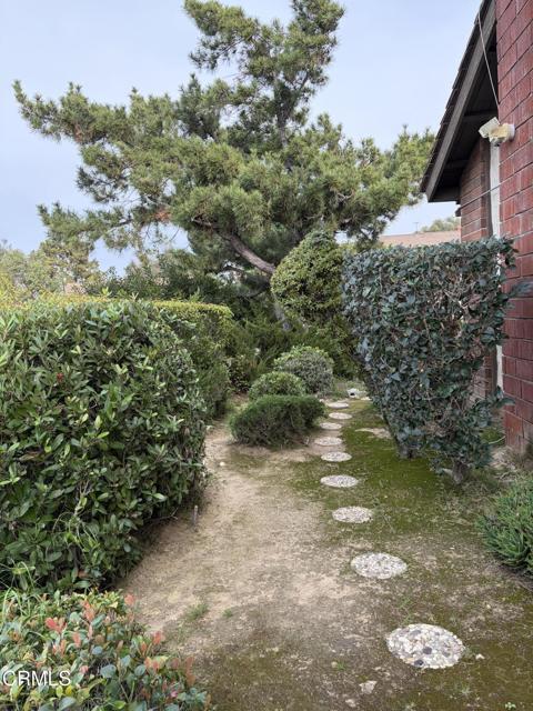 Building Photo - 3216 Bent Twig Ln