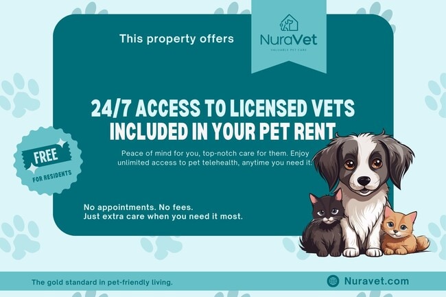 Pet Friendly - Fountainview Apartments