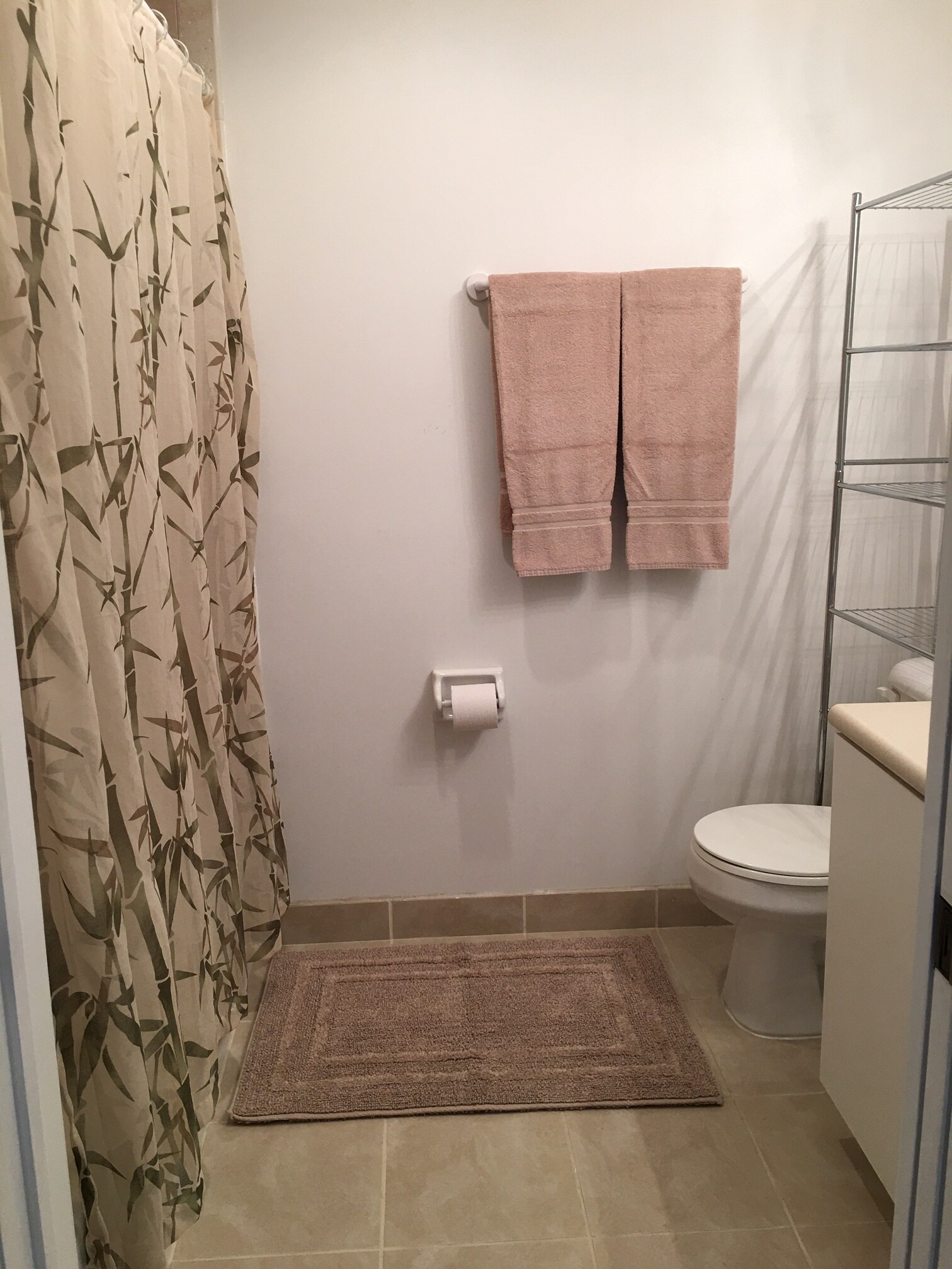 Guest Bathroom - 8513 Bernwood Cove Loop