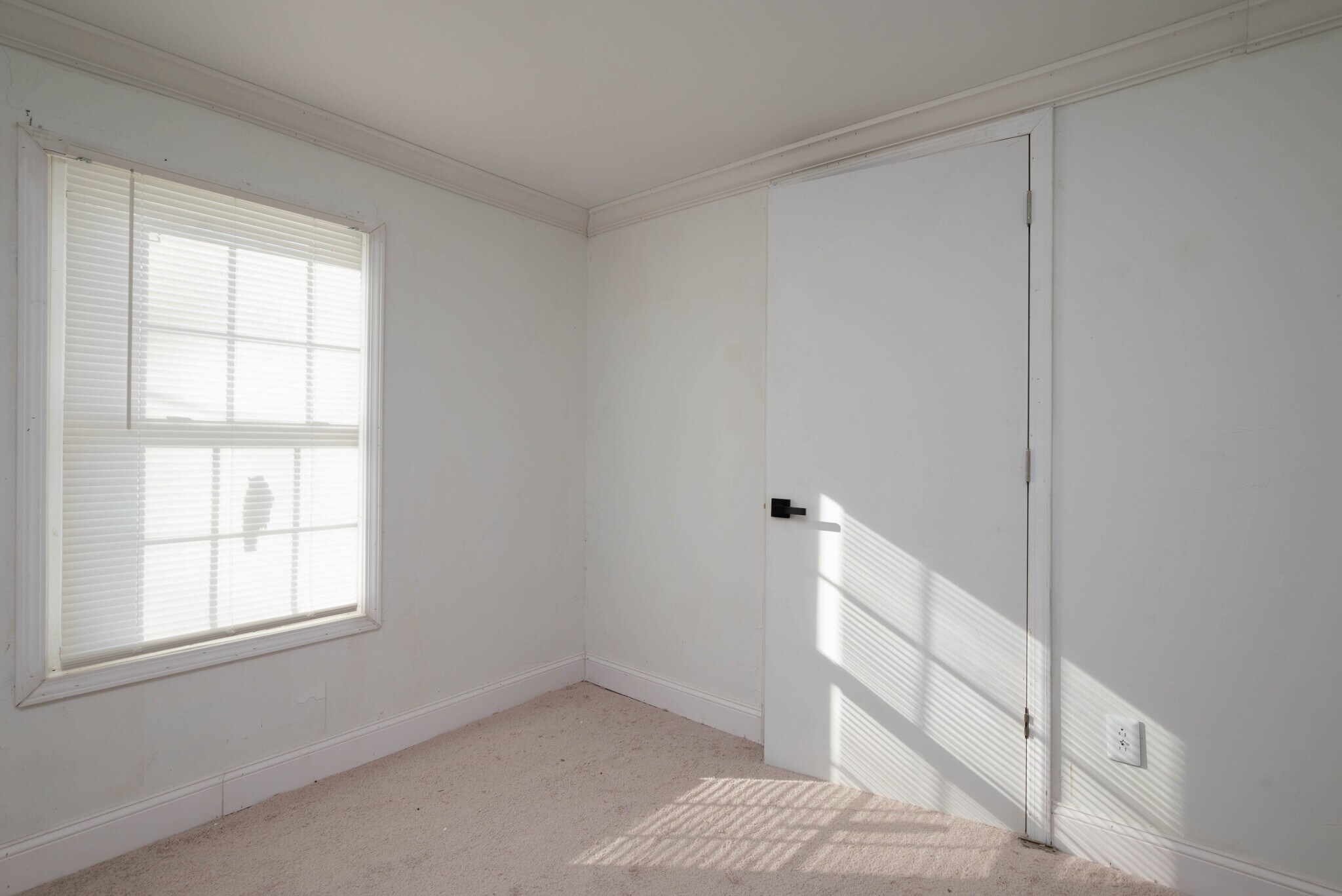 Building Photo - 3815 Dorothy Dr